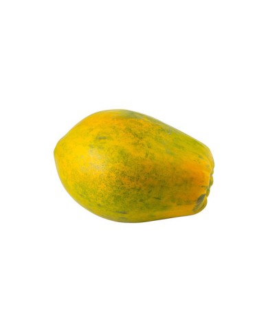 PAPAYA PINTON POR KG