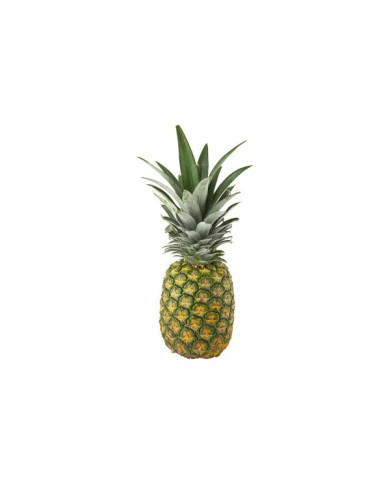 PIÑA PINTON POR KG