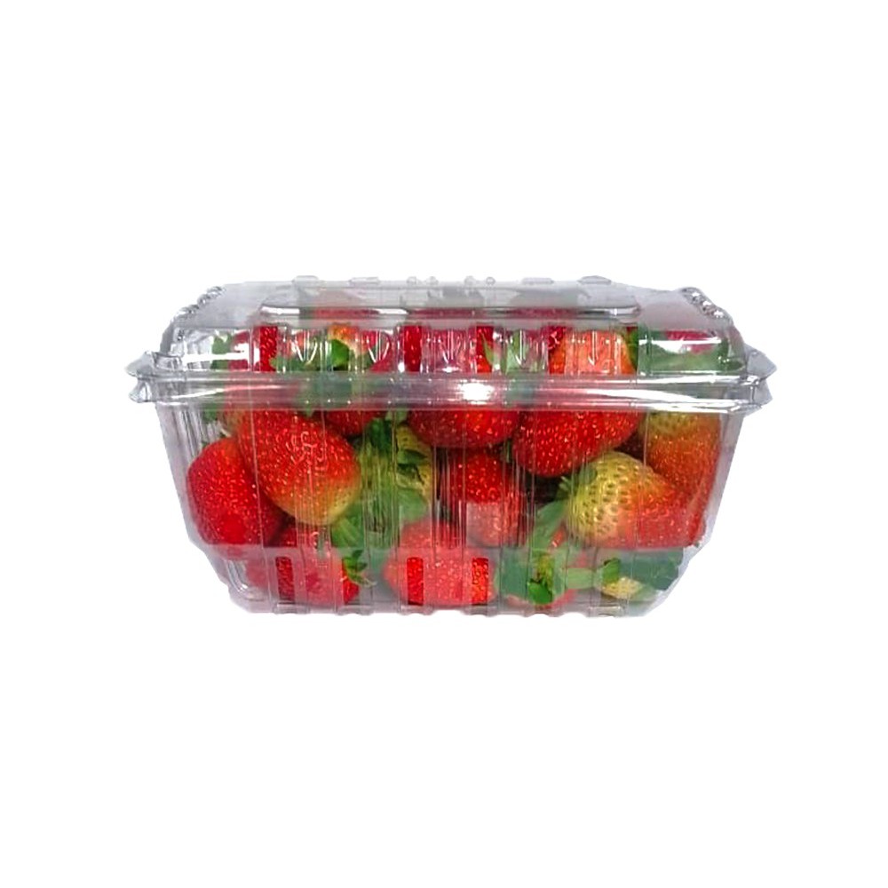 FRUTILLA PINTÓN EN CAJA PLÁSTICA 1 KG