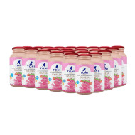 LECHE TONI FRUTILLA TETRAPAK CAJA ( 24 X 200 ML )