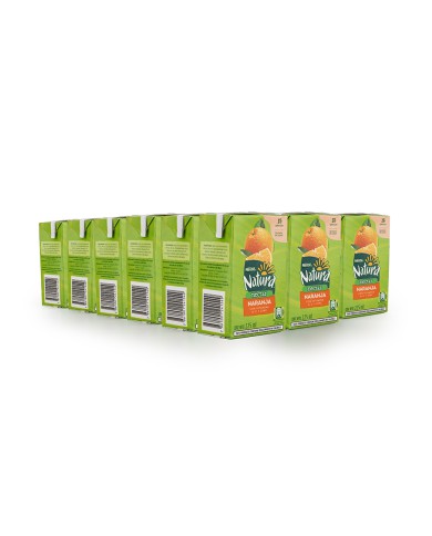 NECTAR DE NARANJA NATURA CAJA (24 X 225 ML)