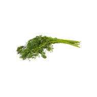 CILANTRO 1 KG