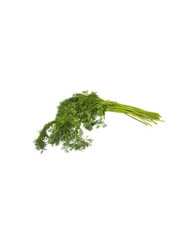 CILANTRO ATADO 50 G