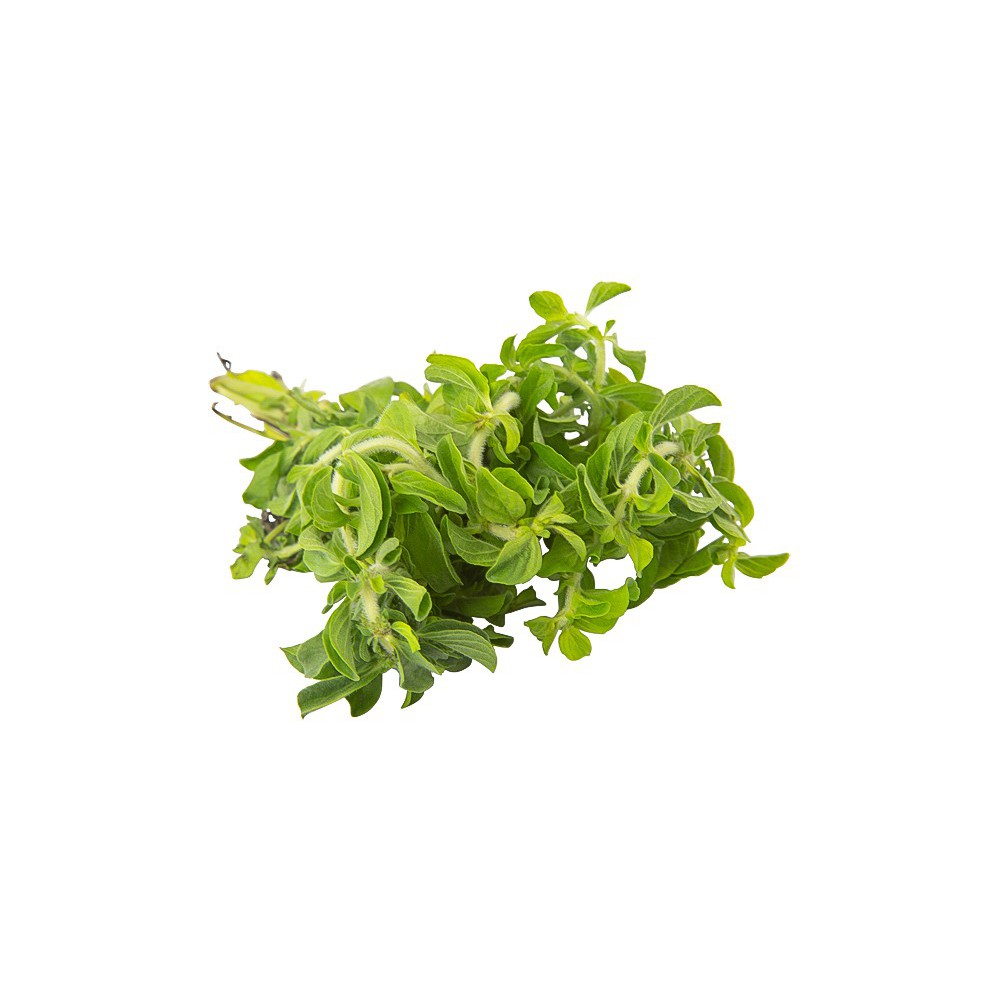 MENTA FRESCA ATADO 20 G