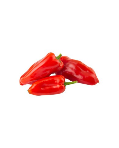 PIMIENTO ROJO POR KG