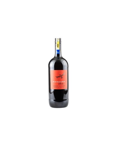 VINO TINTO CABERNET SOUVIGNON ETNIA MANCURA 1500 ML