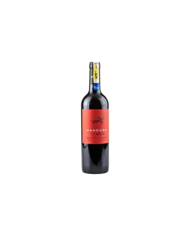 VINO TINTO CABERNET SOUVIGNON ETNIA MANCURA 750 ML