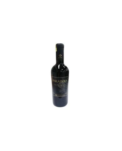 VINO TINTO CABERNET SAUVIGNON MALBEC PARADOJA DOS HEMISFERIOS 750 ML