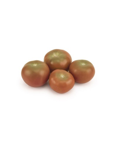 TOMATE RIÑON REGULAR PINTON POR KG