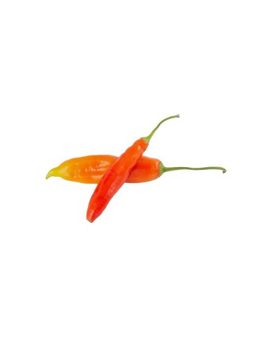 AJI ROJO POR KG