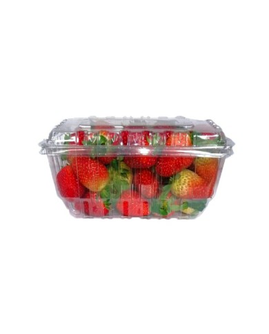 FRUTILLA PINTÓN EN CAJA PLÁSTICA 1 KG