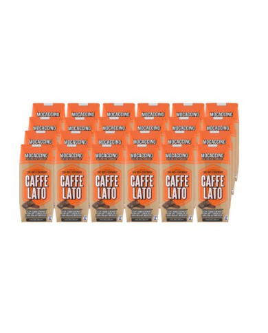 CAFFE LATO MOCACCINO TONI TETRAPACK CAJA (24 X 250 ML)