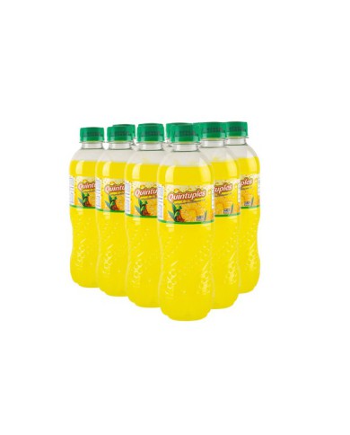 QUINTUPLE PIÑA CAJA (12 X 355 ML)