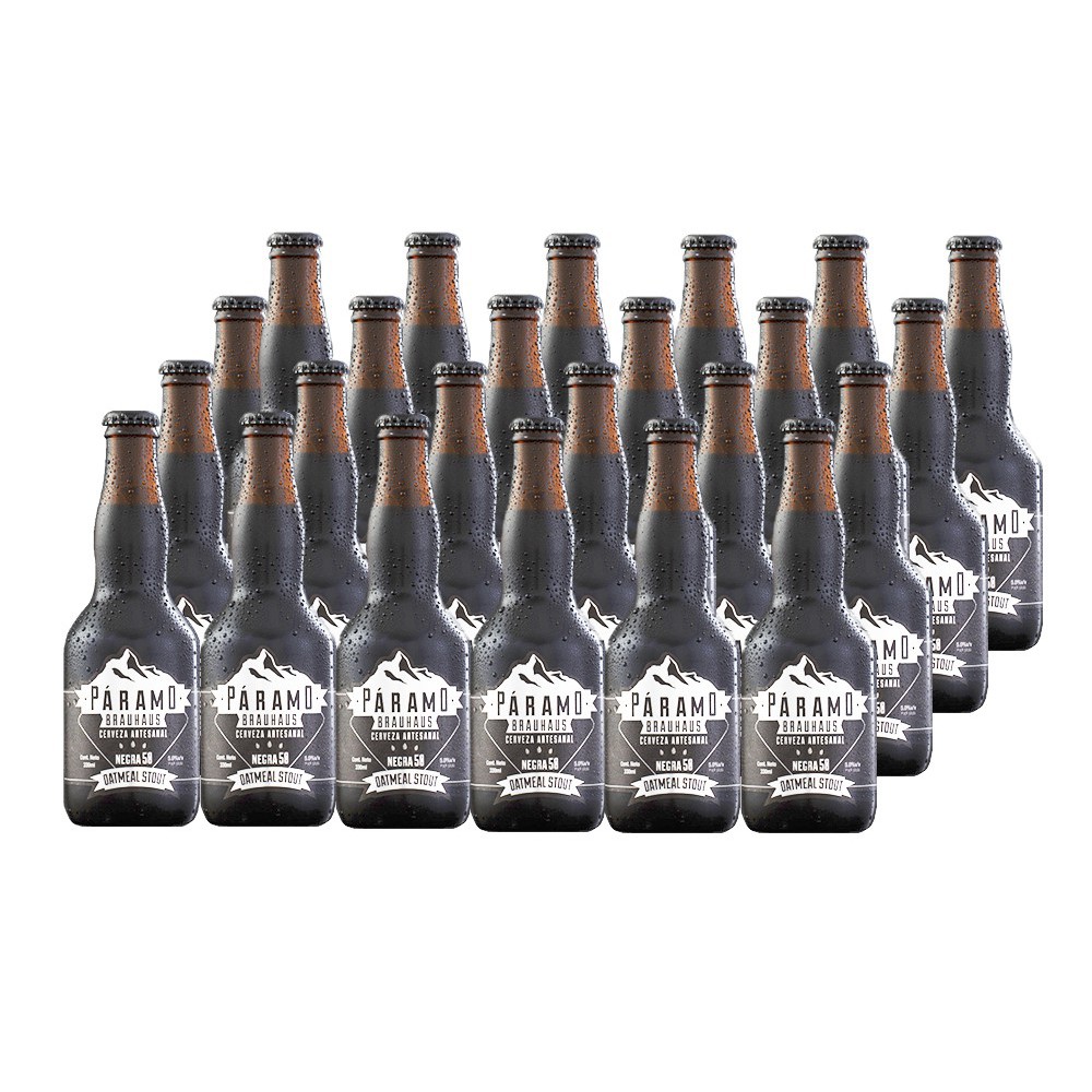 CERVEZA ALEMANA ARTESANAL OATMEAL STOUT NEGRA PÁRAMO BRAUHAUS CAJA (24 X 330 ML)