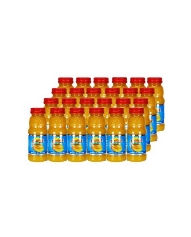 NECTAR DE MANGO SUNNY PET CAJA (24 X 300 ML)