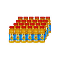 NECTAR DE MANGO SUNNY PET CAJA (24 X 300 ML)