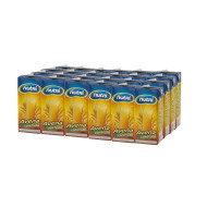 AVENA CON FRUTA NUTRI CAJA (24 X 200 ML)