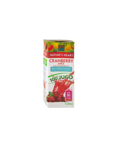 JUGO DE ARÁNDANO NATURES HEART 200 ML