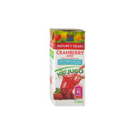 JUGO DE ARÁNDANO NATURES HEART 200 ML