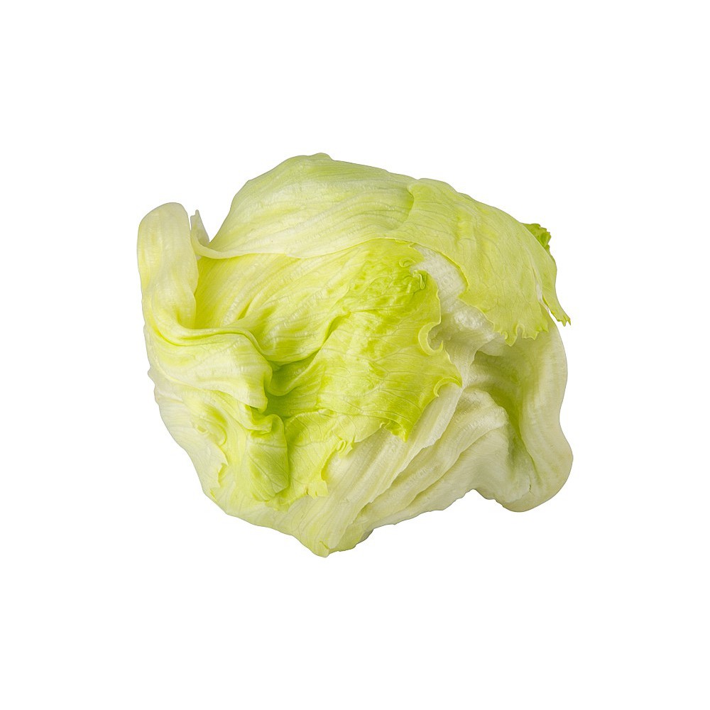 LECHUGA CRIOLLA POR KG