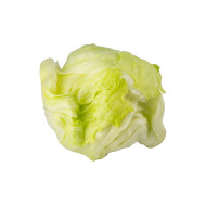 LECHUGA CRIOLLA POR KG