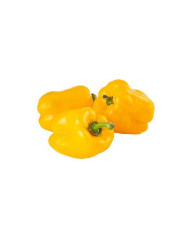 PIMIENTO AMARILLO POR KG