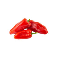 PIMIENTO ROJO POR KG